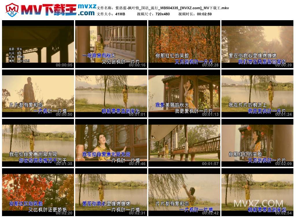 紫洛蓝-枫叶情_国语_流行_MB504335